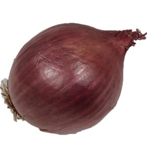 Organic Produce - Organic Onion Red