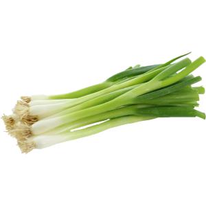 Organic Produce - Organic Scallions