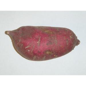 Sweet Potato Oriental