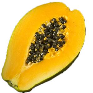 Tropical - Papaya Hawaiian