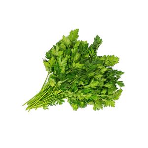 Fresh Herbs - Parsley Plain