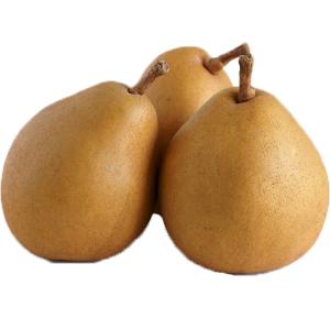 Produce - Pear Taylors Gold