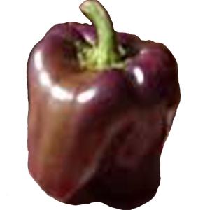 Fresh Produce - Pepper Brown