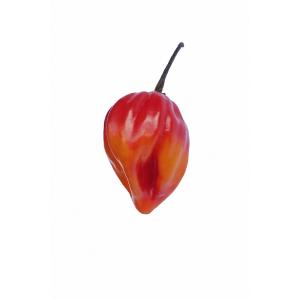 Fresh Produce - Pepper Habanero