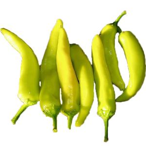 Fresh Produce - Pepper Hot Hungarian