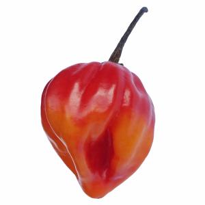 Fresh Produce - Pepper Jamacian Hot