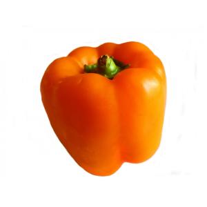 Produce - Pepper Orange