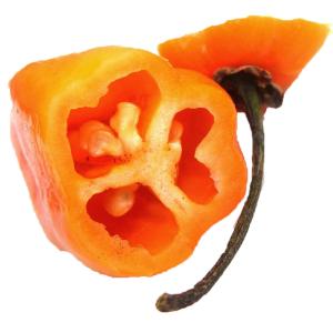 Fresh Produce - Pepper Orange