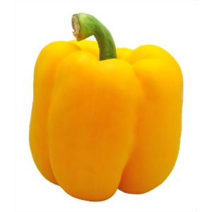 Fresh Produce - Pepper Yellow
