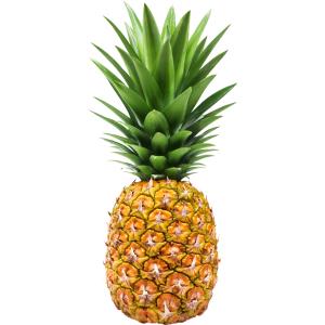 Fresh Produce - Pineapple Mini