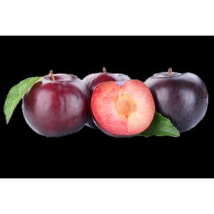 Large Red Plums