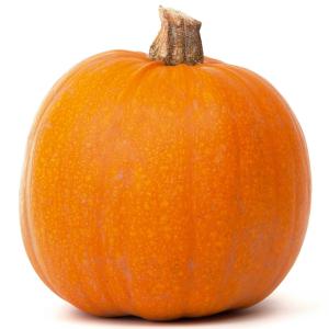 Fresh Produce - Pumpkin Decorative