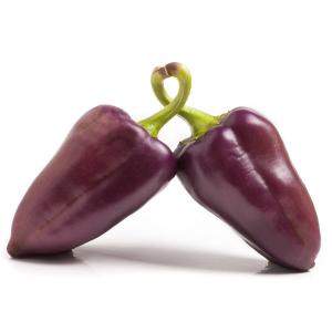 Fresh Produce - Pepper Purple
