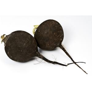 Produce - Radish Black