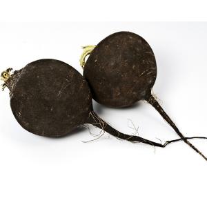 Fresh Produce - Radish Black