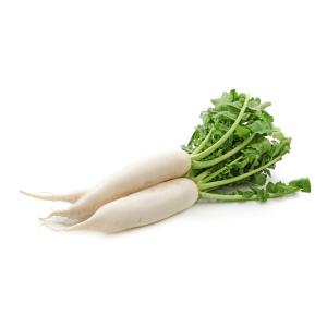 Fresh Produce - Radish Daikon