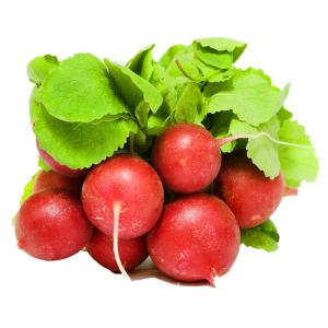 Produce - Radish Red