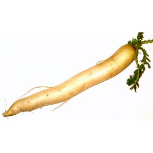 Fresh Produce - Radish White Icicle