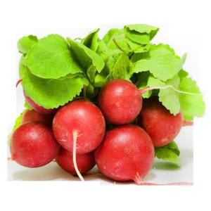 Produce - Radishes Bunch