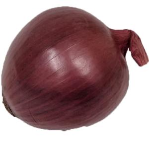 Undefined - Red Onions