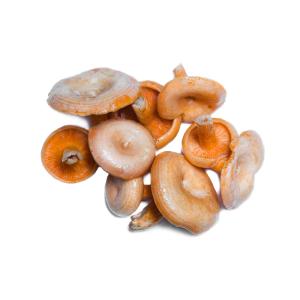 Fresh Produce - Saffron Milk Cap Mushrooms