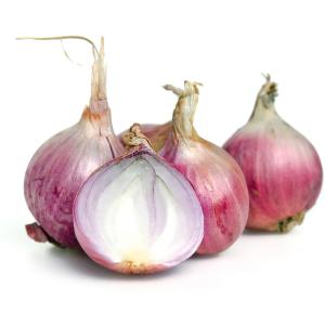 Yogo - Shallots