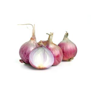 Yogi - Shallots