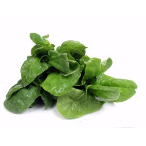 Bulk - Spinach Baby 4lb