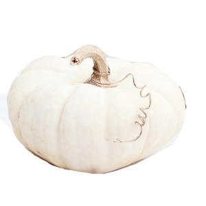 Produce - Squash Acorn White