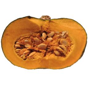 Fresh Produce - Squash Calabaza