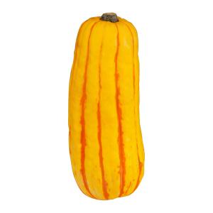 Fresh Produce - Squash Delecata