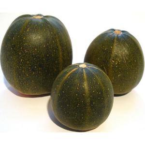 Fresh Produce - Squash Gem