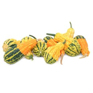 Fresh Produce - Squash Green and Yellow