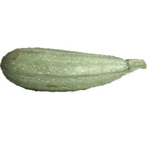 Fresh Produce - Squash Grey