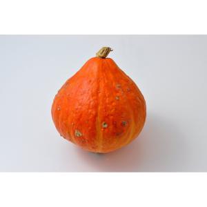 Fresh Produce - Squash Red Kuri