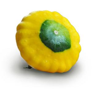 Fresh Produce - Squash Scallopini