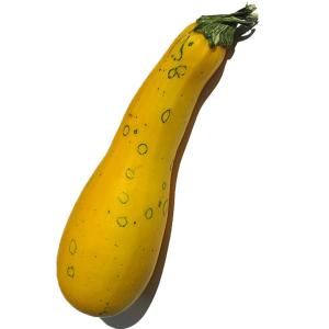 Fresh Produce - Squash Summer