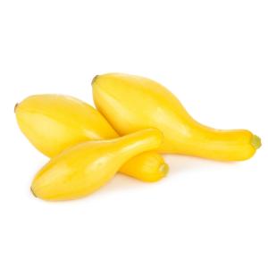 Fresh Produce - Squash Yellow Crookneck