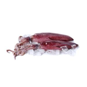 Shellfish - Squid wh Cleaned Thawed Wild