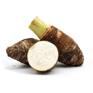 Tropical - Taro Root