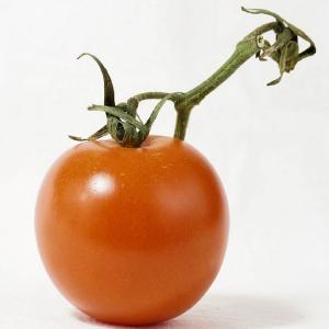 Fresh Produce - Tomato Orange