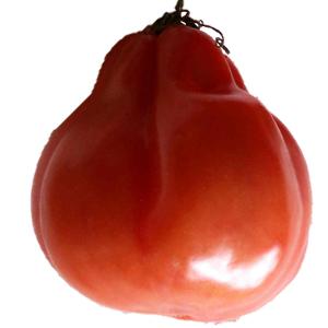 Fresh Produce - Tomato Pear