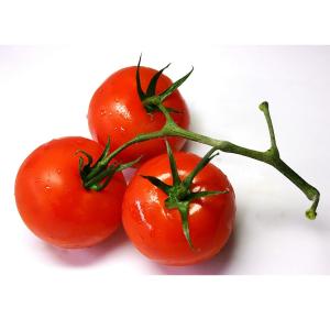 Fresh Produce - Tomato Vine Ripe