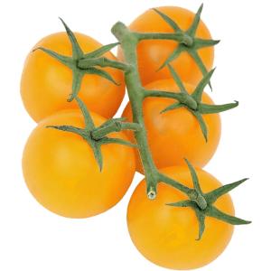 Fresh Produce - Tomato Yellow on Vine