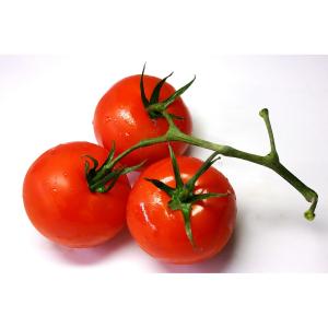 Fresh Produce - Imported Tomatoes on the Vine