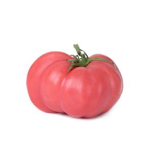 Produce - Tomatoes 5x6