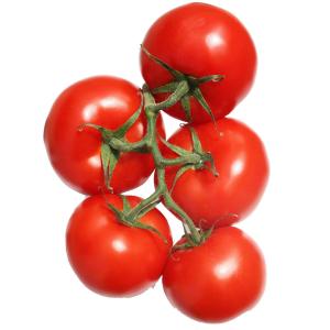 Fresh Produce - Tomatoes on the Vine