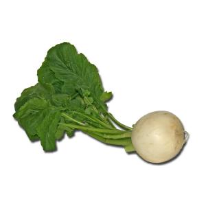 Fresh Produce - Turnip Baby