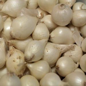 Fresh Produce - White Boiler Onions