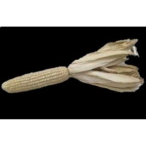 Produce - White Corn